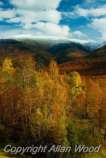 Autumn White Mts NH2980.jpg